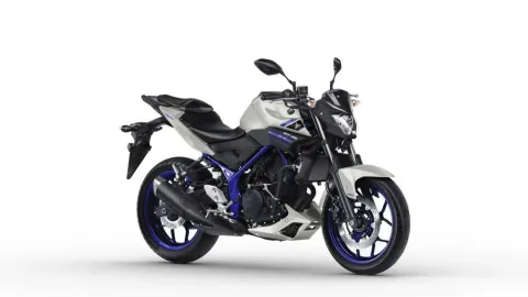 Yamaha MT-25 (İlk kasa)