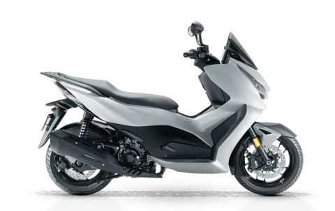 RKS Motor RZ250S