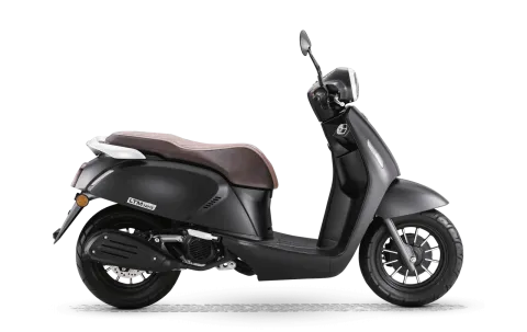 RKS Motor LTM125