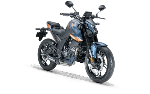 RKS Motor RZ125